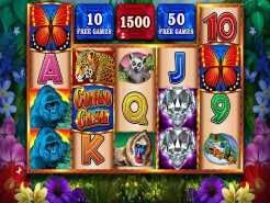Congo Cash